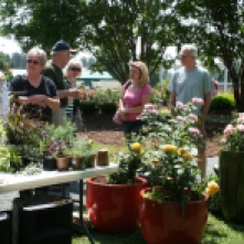 Pam Beck demonstrating how to plant roses in containers
